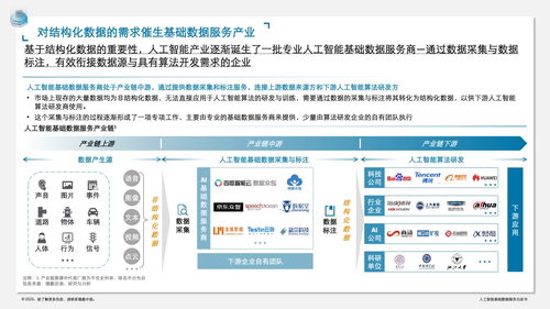 德勤咨詢?nèi)斯ぶ悄芑A(chǔ)數(shù)據(jù)服務(wù)白皮書(shū) 數(shù)據(jù)處理服務(wù)的核心價(jià)值與實(shí)施路徑